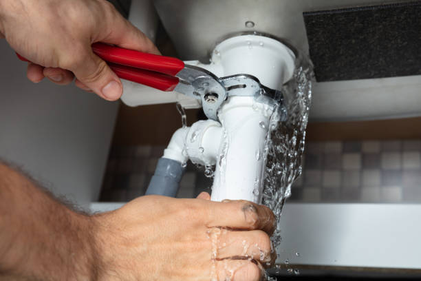 Best Professional water damage repair  in Hughesville, MD