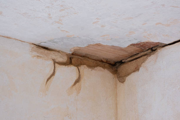 Best Water damage contractors near me  in Hughesville, MD