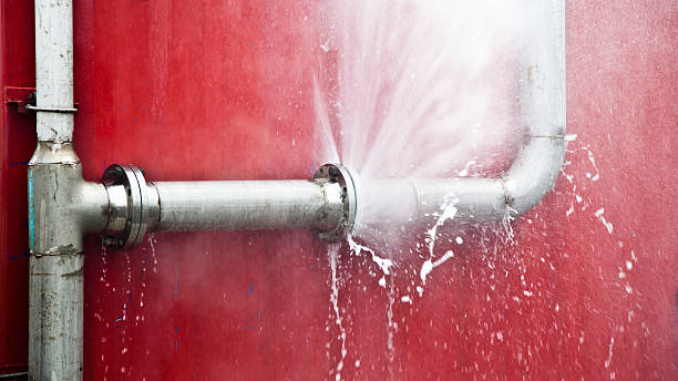 Best Flooded house restoration  in Hughesville, MD